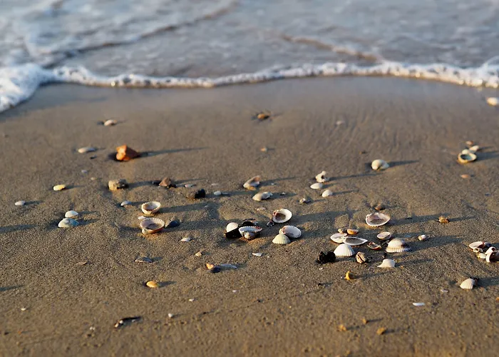 Modern Flat With Swimming Pool And Solarium Daire